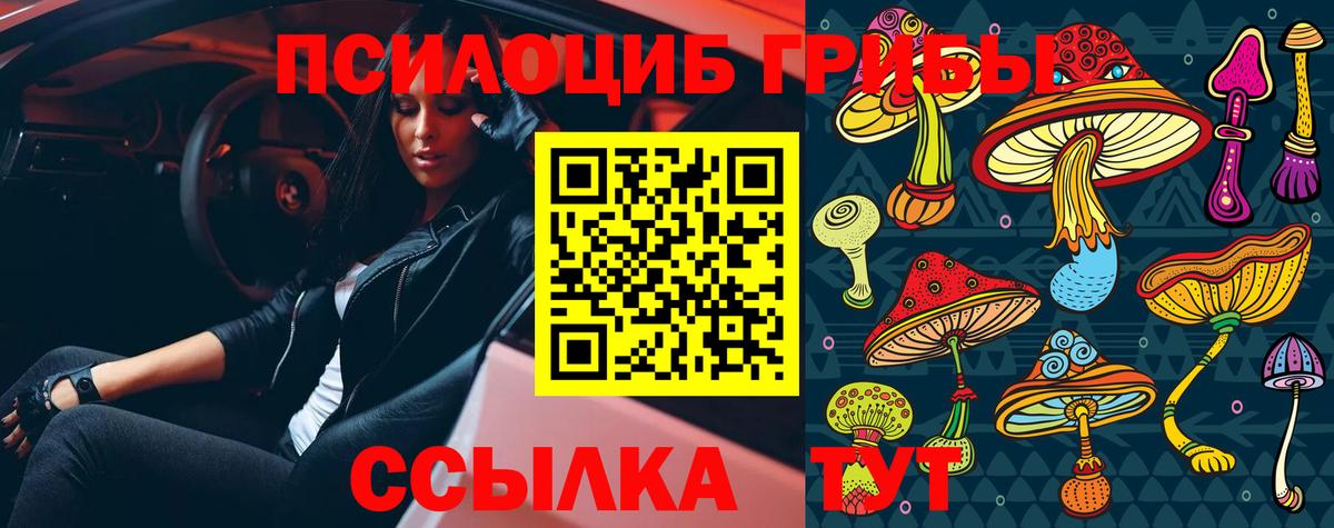 Галлюциногенные грибы Magic Shrooms Ачхой-Мартан