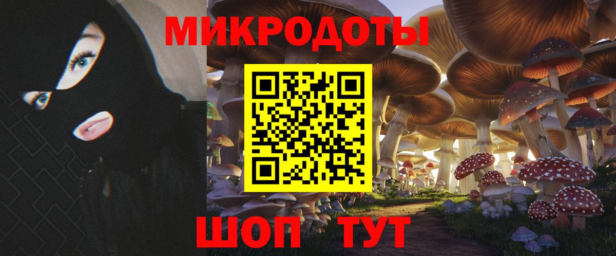 дарнет шоп  Псилоцибиновые грибы Magic Shrooms  Вход с VPN  Ачхой-Мартан 