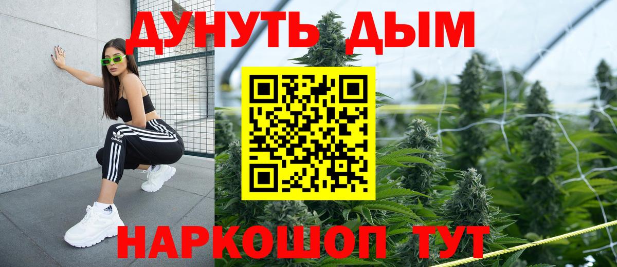 Бошки Шишки White Widow  МАРИХУАНА White Widow  Вход с VPN  Ачхой-Мартан  МАРИХУАНА THC 21% 